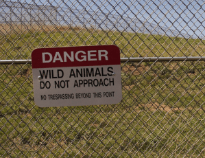Danger sign at the bear cage. Sam D'Amico. Link