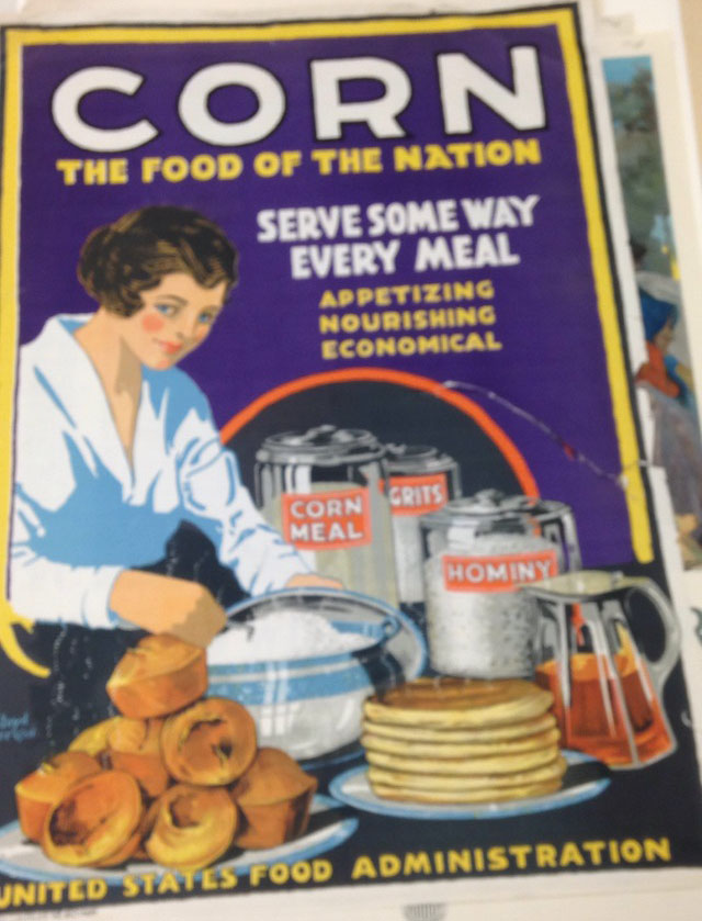 Poster shown in WSU Library Course Reserves 