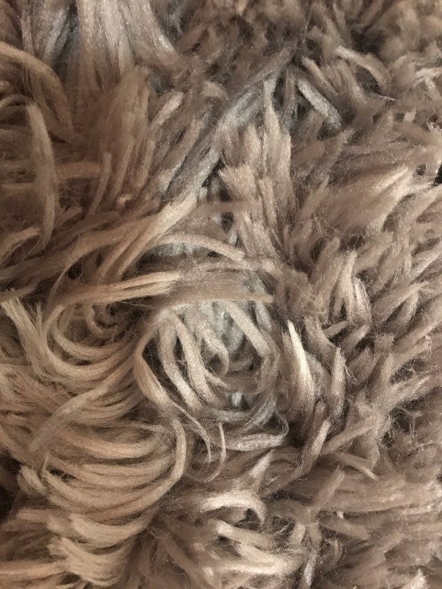 katrina-bittner-dtc336-02