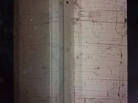 20170829_120830 (1) (1).jpg